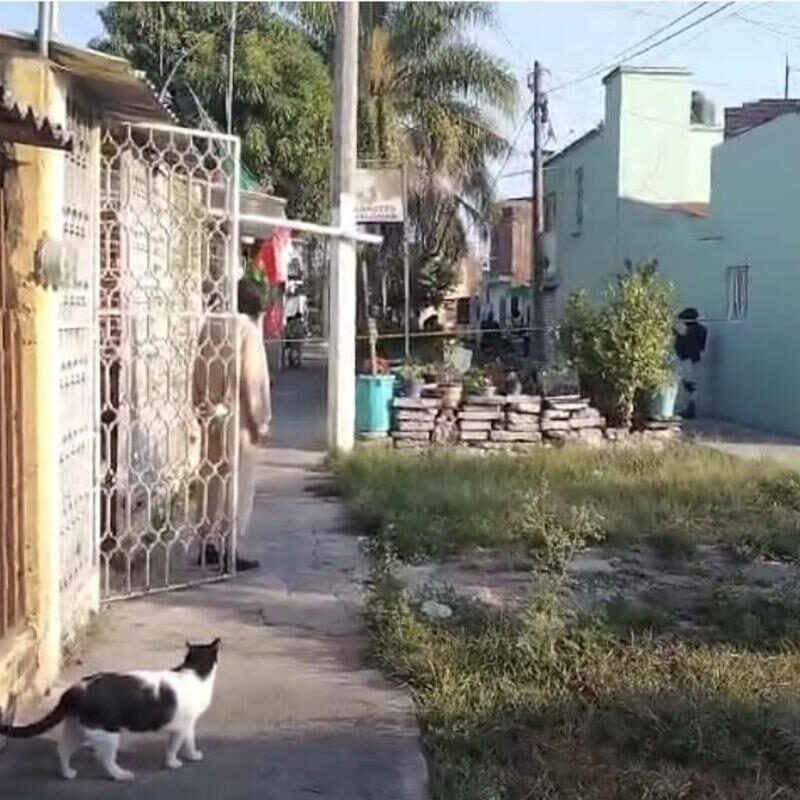 Asesinan a “El Hebreo” al interior de su domicilio en Zamora, Michoacán