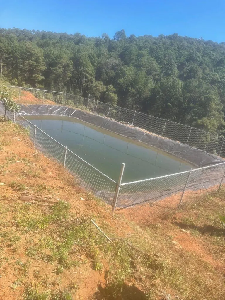 cateo FGE Michoacán Madero predio asegurado 1