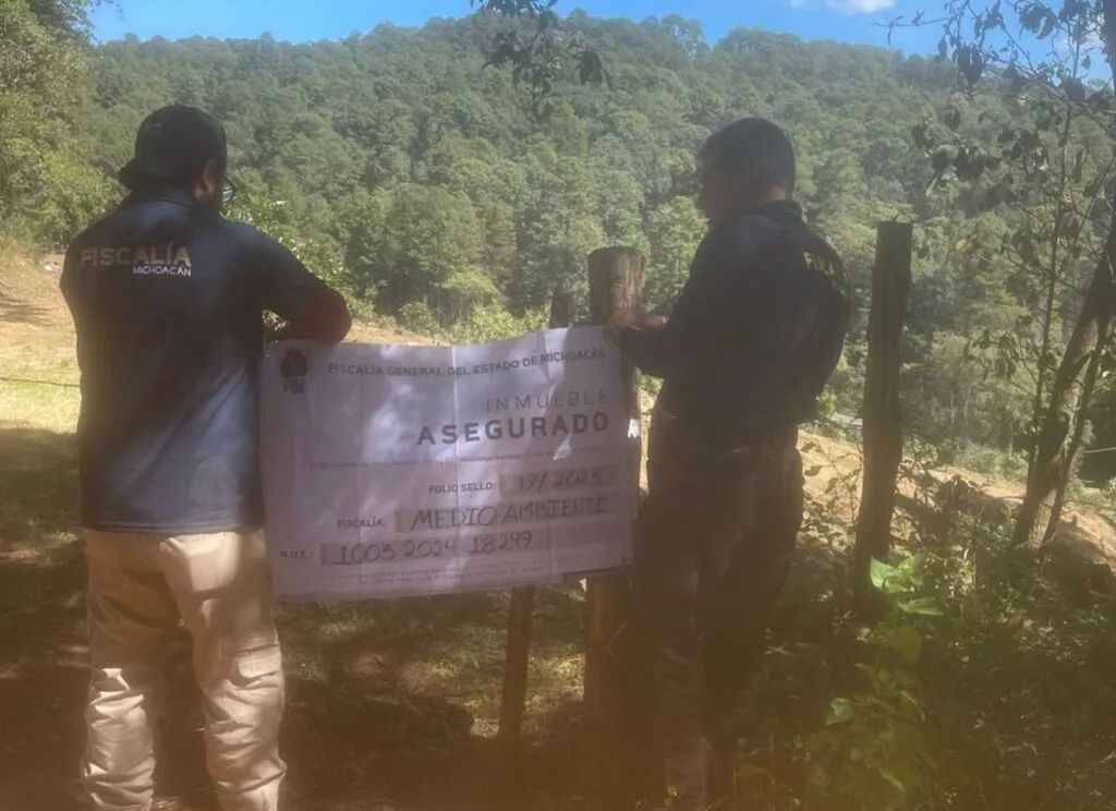 cateo FGE Michoacán Madero predio asegurado