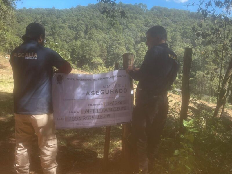 cateo FGE Michoacán Madero predio asegurado