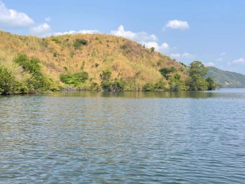 Compesca libera 100 mil alevines de tilapia en Lázaro Cárdenas