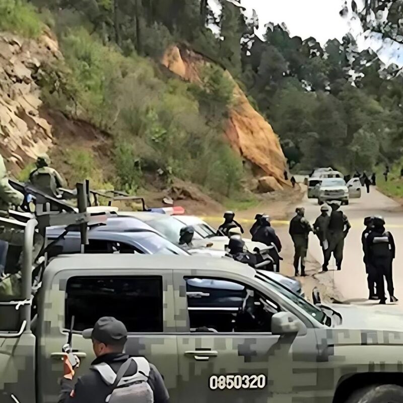 Dos presuntos delincuentes abatidos y varios vehículos asegurados, resultado de operativo en Michoacán