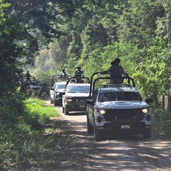Desactivan fuerzas federales seis artefactos explosivos, en Apatzingán