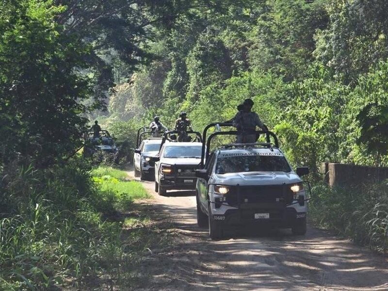 Desactivan fuerzas federales seis artefactos explosivos, en Apatzingán