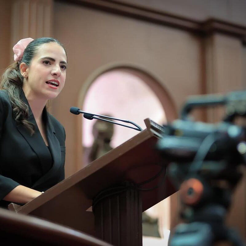 Desde el Poder Legislativo  aportaremos lo que el Plan Michoacán por la Paz y la Justicia requiera: Presidenta del Congreso