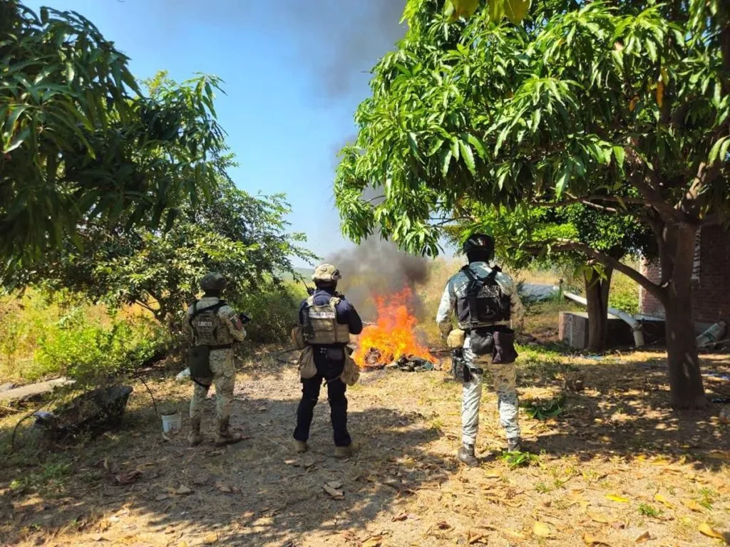 Desmantelados 4 campamentos clandestinos en Buenavista: SSP-2