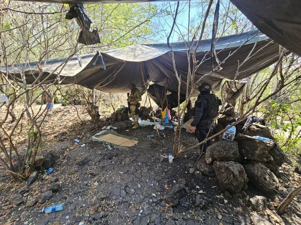 Desmantelados 4 campamentos clandestinos en Buenavista: SSP-3