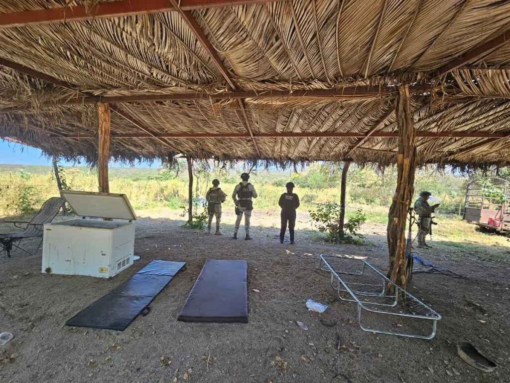 Desmantelados 4 campamentos clandestinos en Buenavista: SSP-4