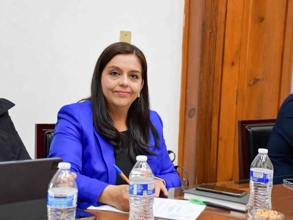 Diputados del PAN exigen no frenar trabajos legislativos por el Plan Michoacán, teresita Herrera Maldonado