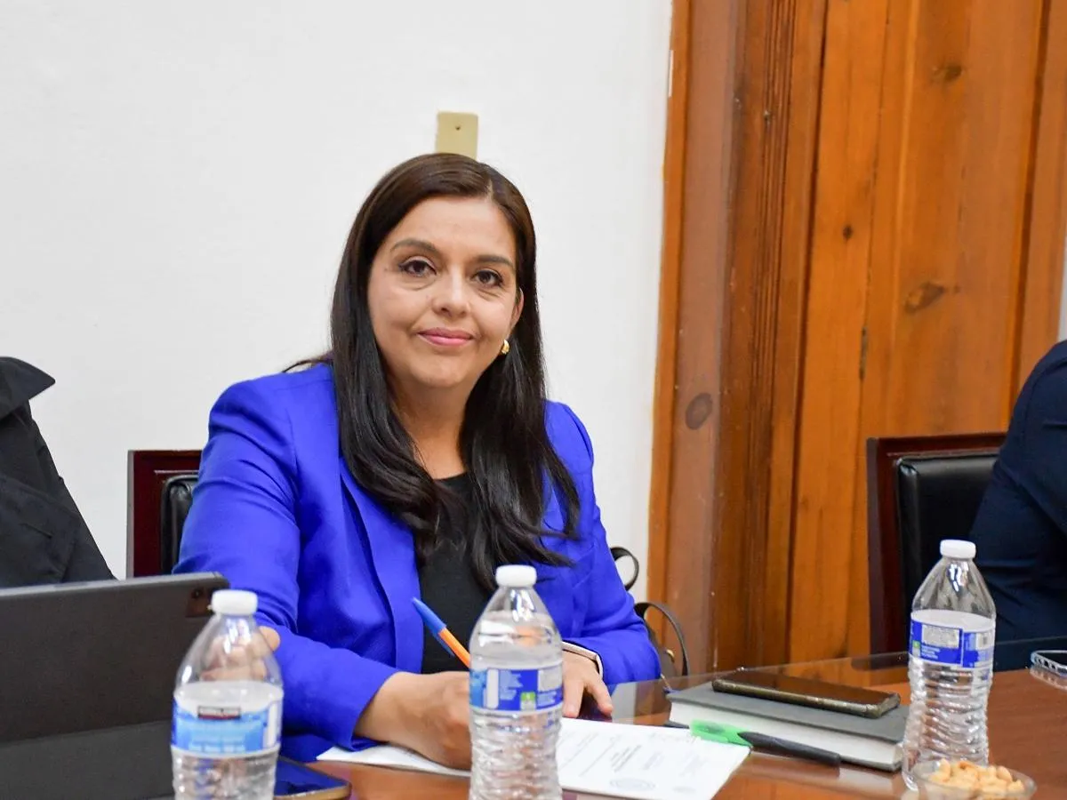 Llaman diputados del PAN a no detener trabajos legislativos por el Plan Michoacán