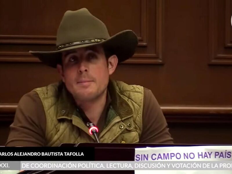 Renuncia Carlos Bautista a Comisión Especial para consulta de educación indígena e inclusiva