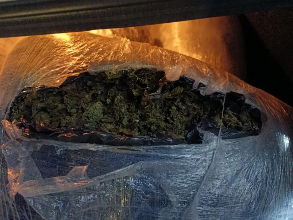 En Zitácuaro, un detenido con cerca de 30 kilos de mariguana: SSP