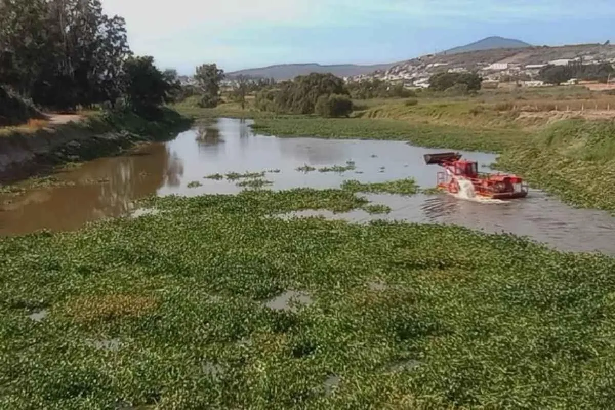 Gobierno de Michoacán rehabilita el Río Lerma en la Piedad