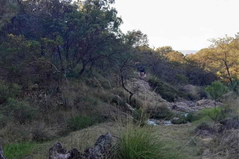 Hallan cuerpo de Julissa, joven desaparecida en Michoacán