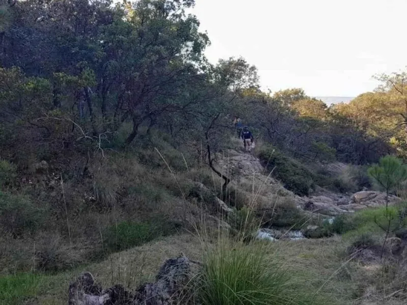 Hallan cuerpo de Julissa, joven desaparecida en Michoacán