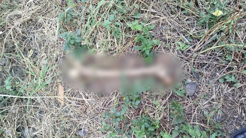 Hallan restos humanos en un lote baldío en Morelia