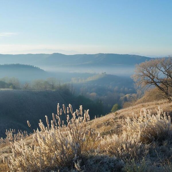 El frente frío 12 trae bajas temperaturas y lluvias