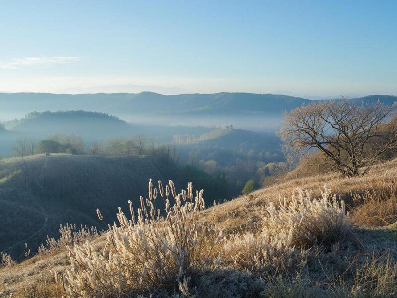 Llega el frente frío número 12: se esperan bajas temperaturas en zonas serranas y ligeras lluvias