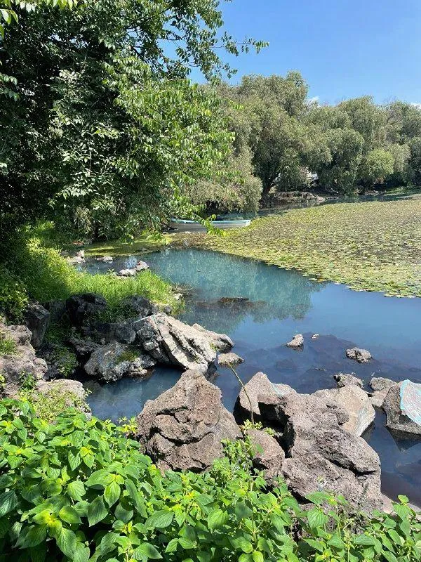 Michoacán en Brasil expondrá avances del Guardián Forestal