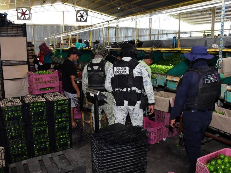 Militares refuerzan la seguridad en la zona citrícola del Valle de Apatzingán