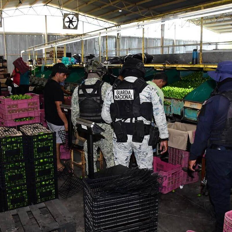 Militares refuerzan la seguridad en la zona citrícola del Valle de Apatzingán