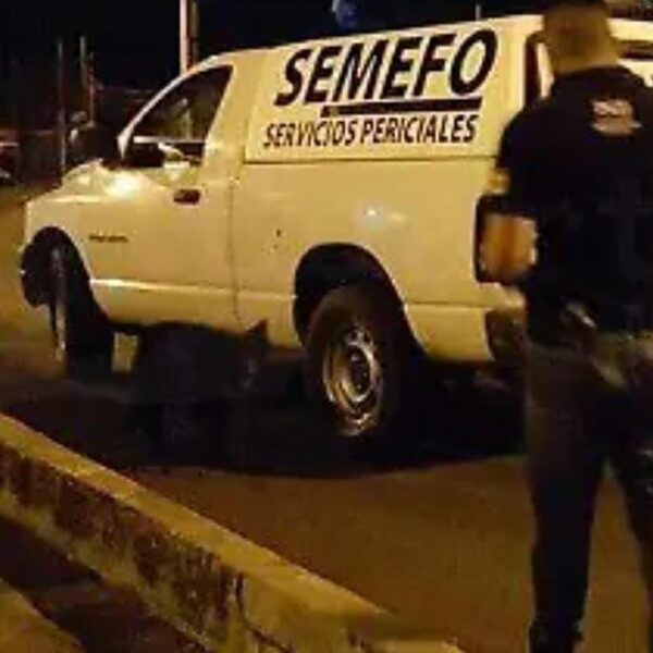 Muere menor de edad en Acuitzio del Canje tras caerle un tronco