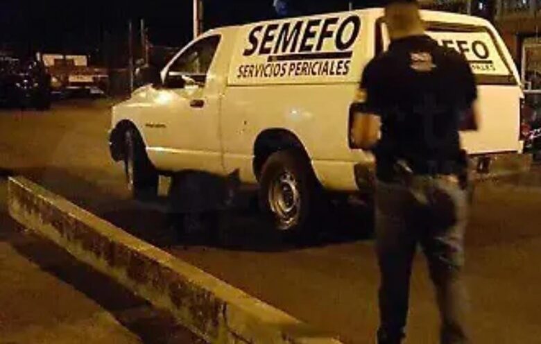 Muere menor de edad en Acuitzio del Canje tras caerle un tronco