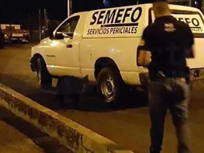 Muere menor de edad en Acuitzio del Canje tras caerle un tronco