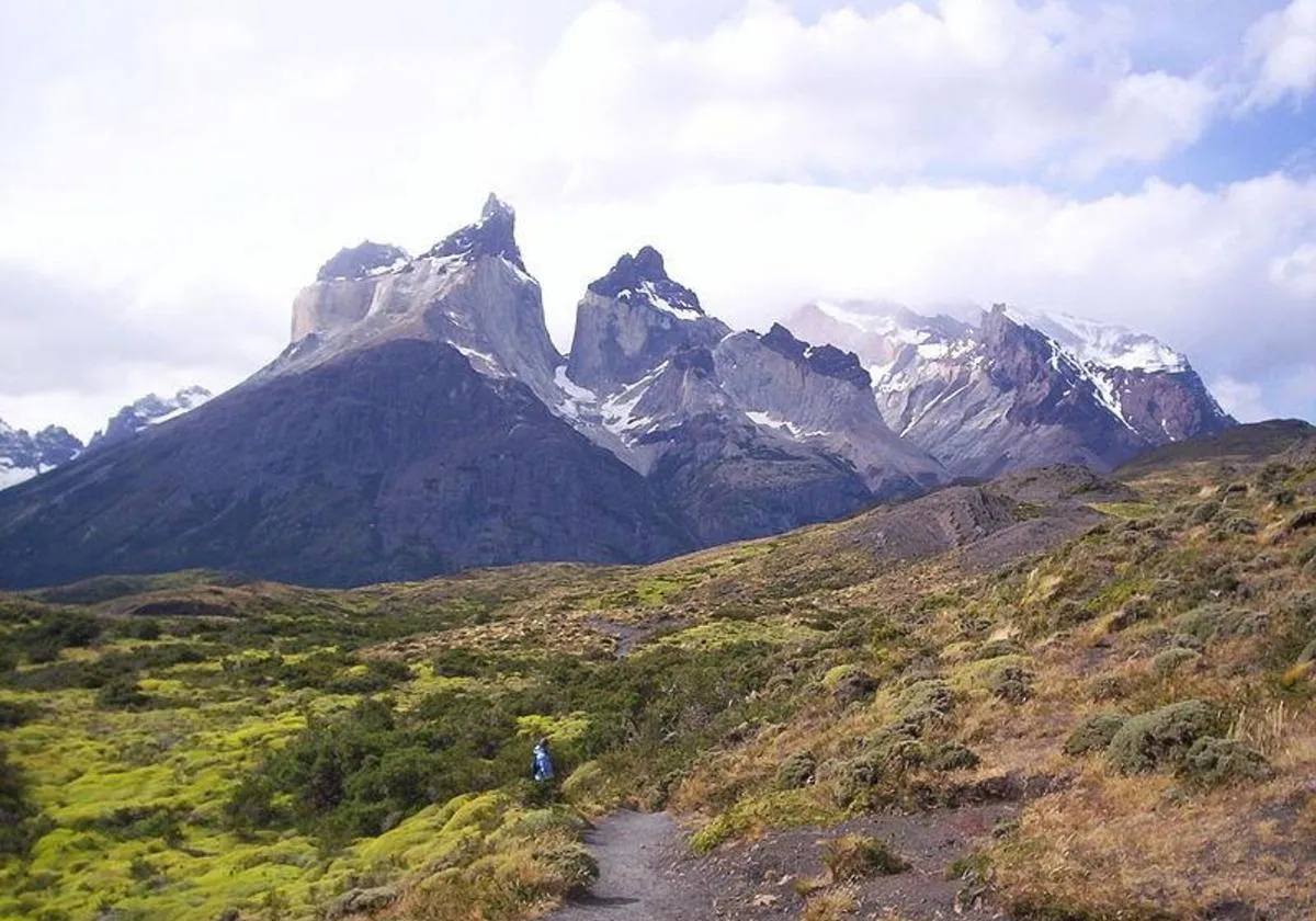 Mueren dos mexicanos en un parque nacional al sur de Chile