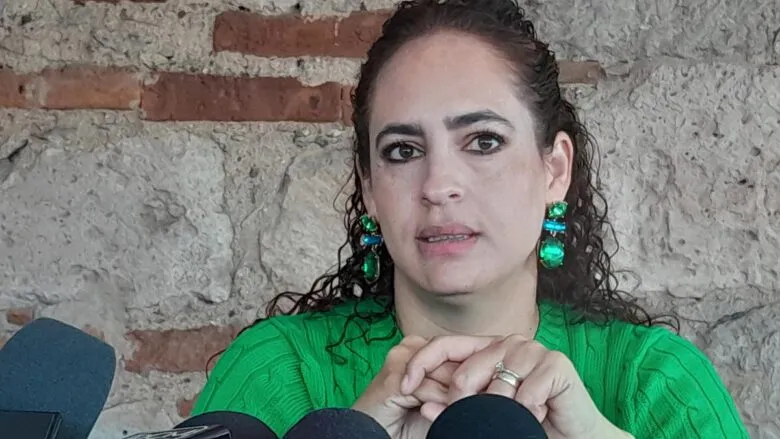 Por definir qué leyes precisarán reformas en el contexto del Plan Michoacán