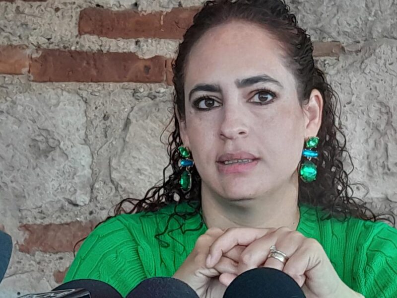 Por definir qué leyes precisarán reformas en el contexto del Plan Michoacán