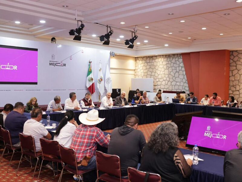 Precio de garantía a productores de trigo está asegurado: Bedolla