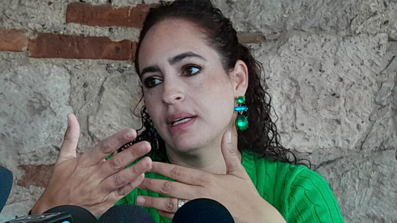 PVEM sostendría su propuesta de llamar a secretario de Seguridad a reunión con el Congreso