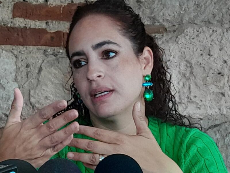 PVEM sostendría su propuesta de llamar a secretario de Seguridad a reunión con el Congreso