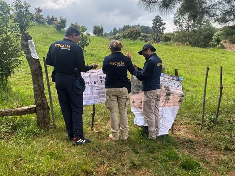 Realiza FGE cateo en predio relacionado con delito ambiental en Tacámbaro