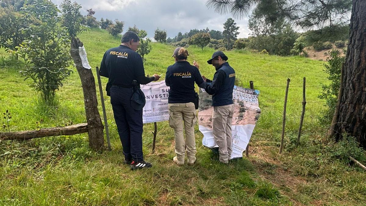 Realiza FGE cateo en predio relacionado con delito ambiental en Tacámbaro