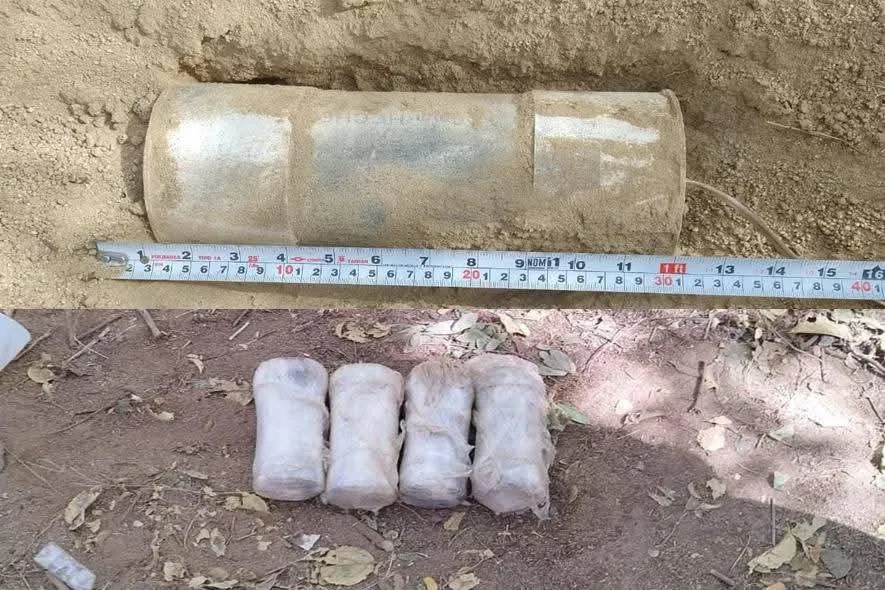 resultados de la operación “Paricutín” en Michoacán