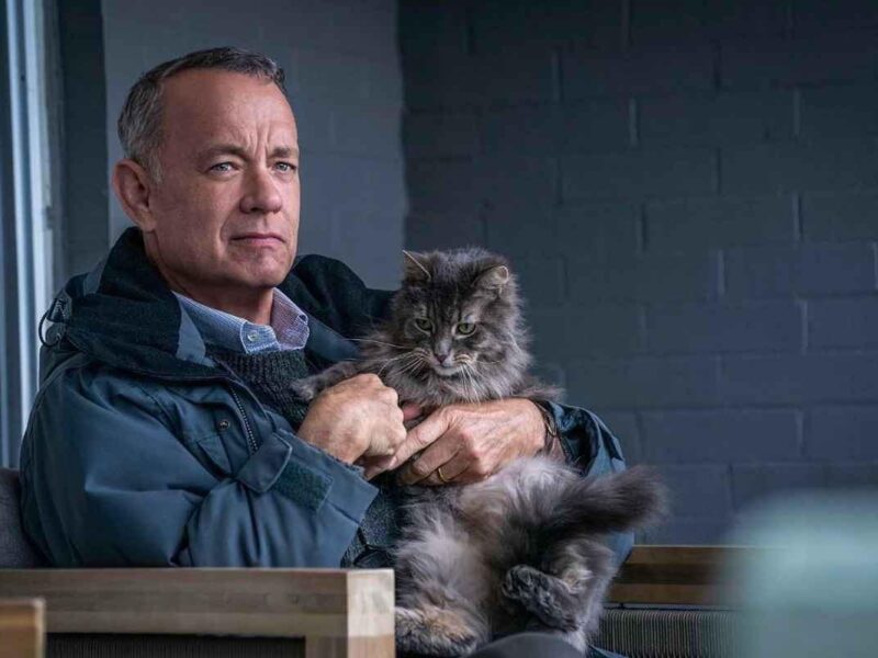 Tom Hanks y Mariana Treviño: la comedia dramática de Netflix que te hace reír… hasta que te rompe el corazó