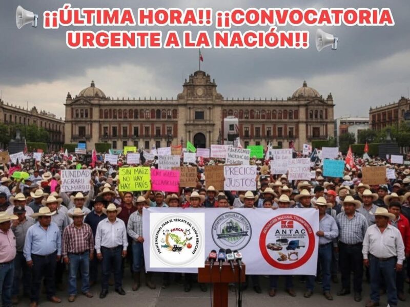 Transportistas anuncian manifestación nacional el 24 de noviembre junto con agricultores