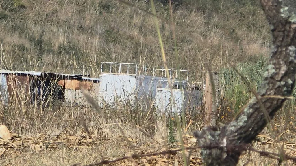 Un muerto y un herido, resultado de explosión cerca del cerro del Quinceo en Morelia-2