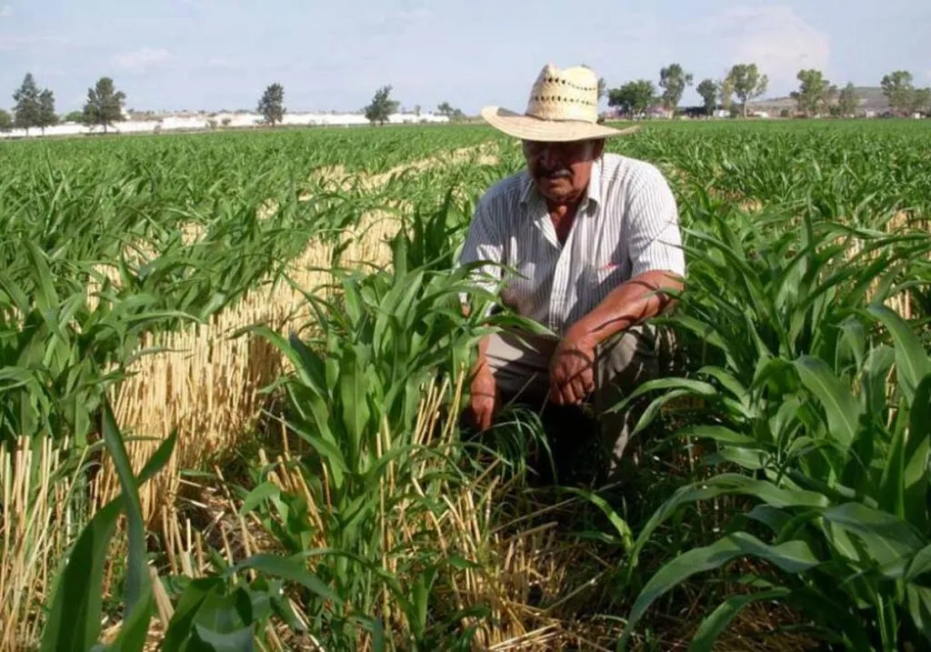 Unión Nacional de Trabajadores Agrícolas exige políticas para frenar la "crisis del campo sin precedentes"