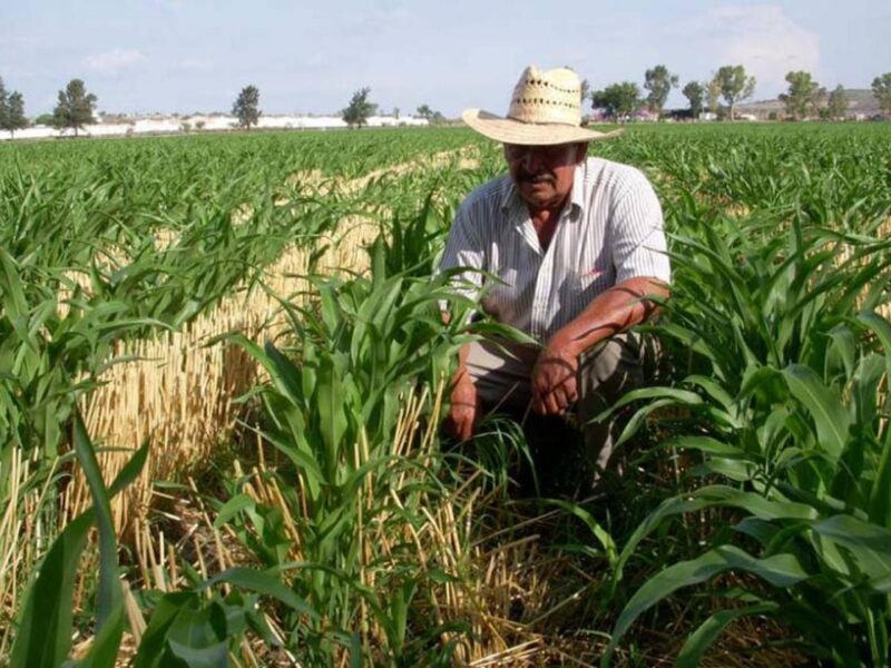 Unión Nacional de Trabajadores Agrícolas exige políticas para frenar la "crisis del campo sin precedentes"