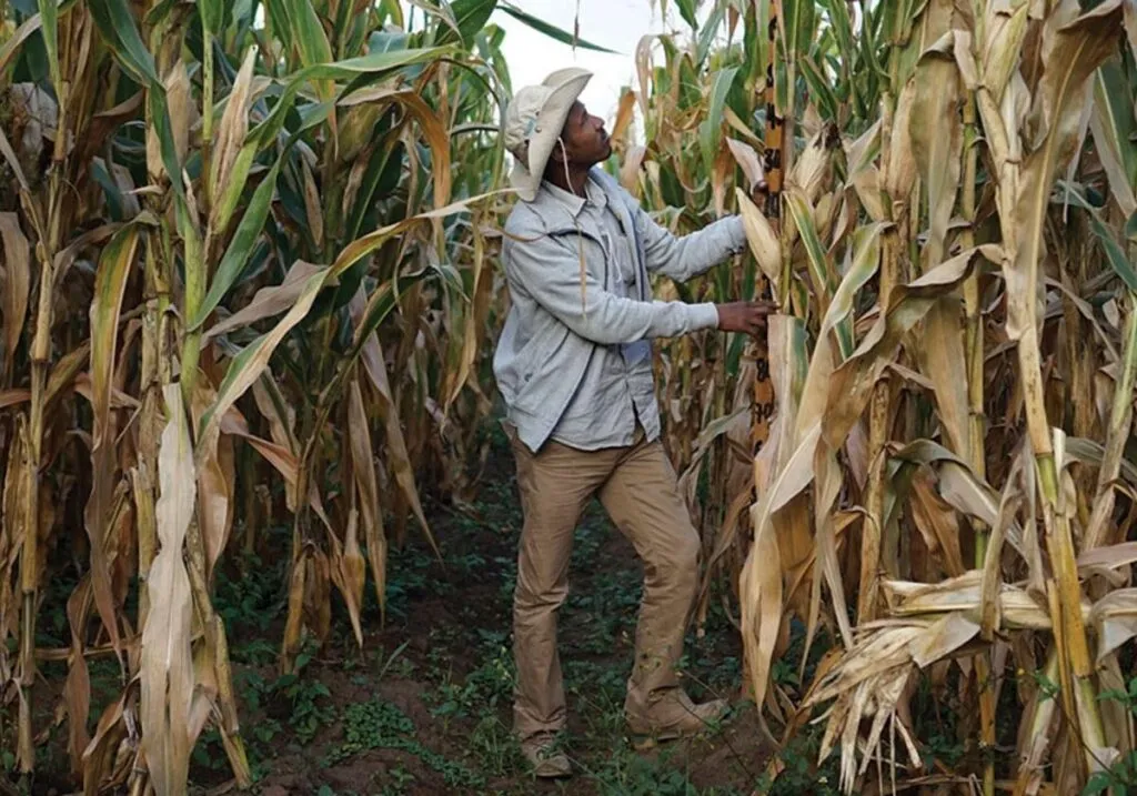 Unión Nacional de Trabajadores Agrícolas exige políticas para frenar la "crisis del campo sin precedentes"-1