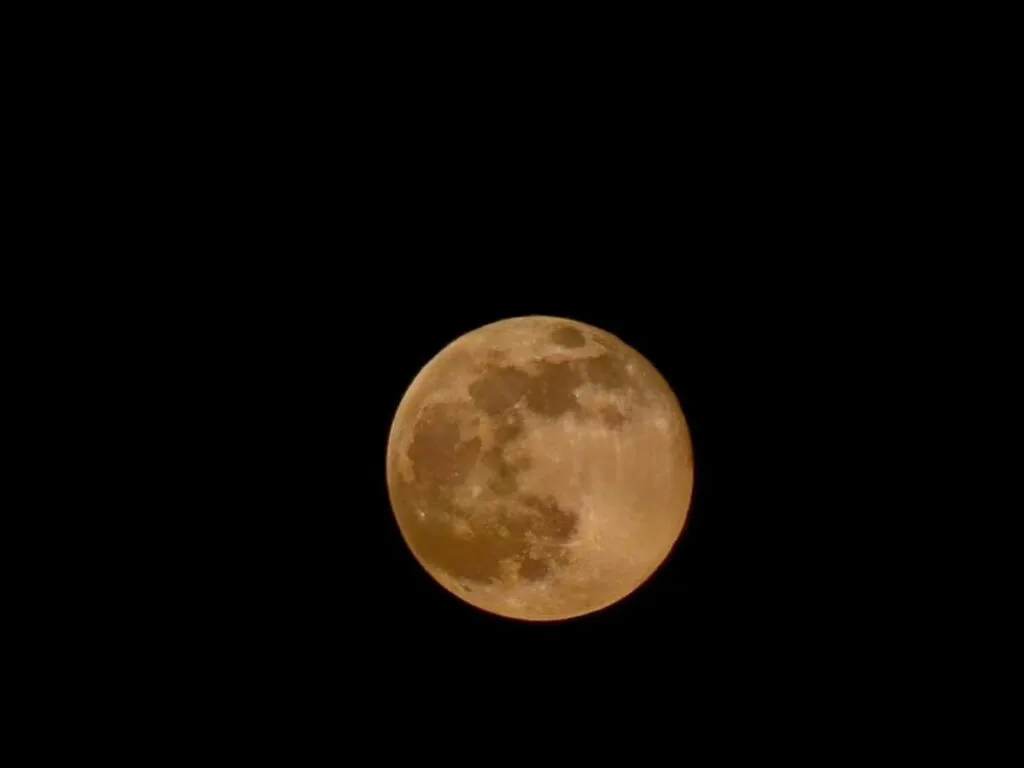 ¿Ya viste al cielo? La superluna más grande de 2025 ilumina esta noche el cielo de México
