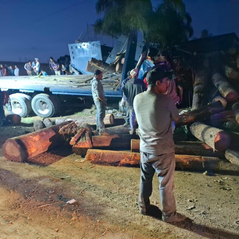 Zitácuaro: conductor pierde el control y vuelca el Torton en el que llevaba troncos