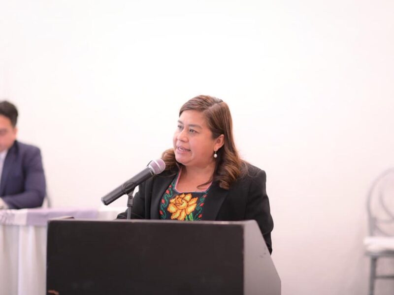 Belinda Iturbide propone ante el pleno promover inclusión laboral de personas con discapacidad