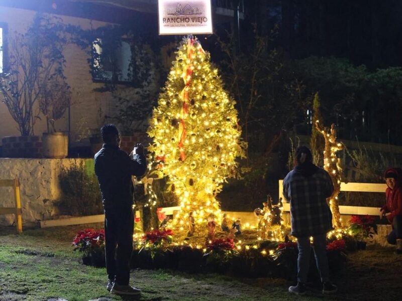 Celebra la Navidad en contacto con la naturaleza en Rancho Viejo