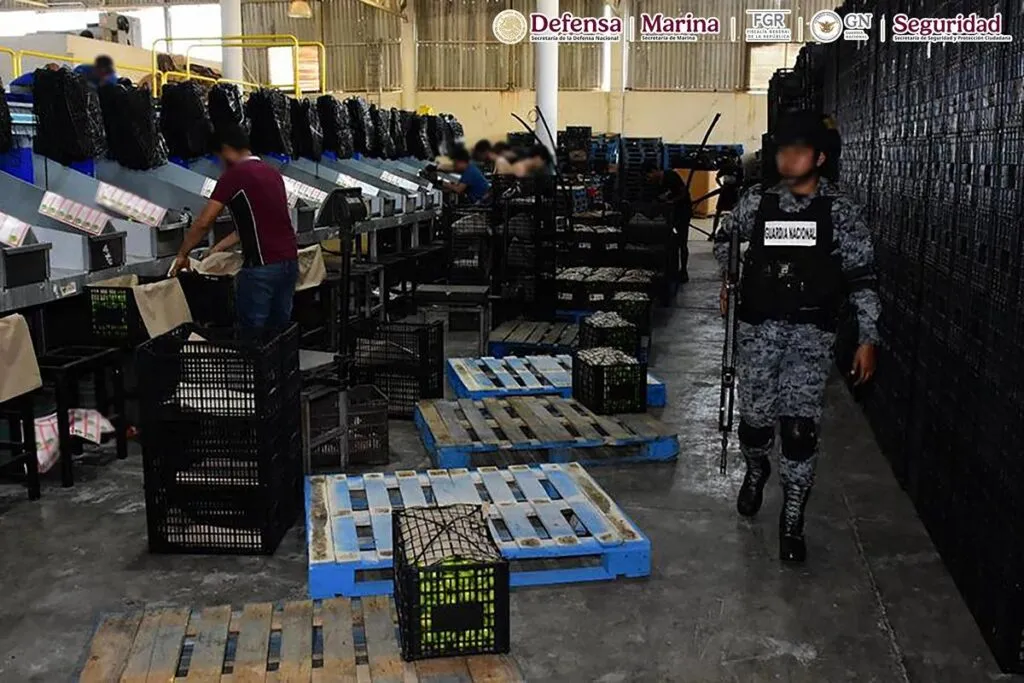 detenidos Plan Michoacán municipios 3