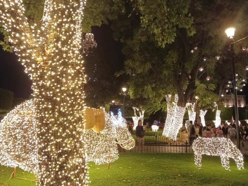 encendido navideo Morelia luces 1