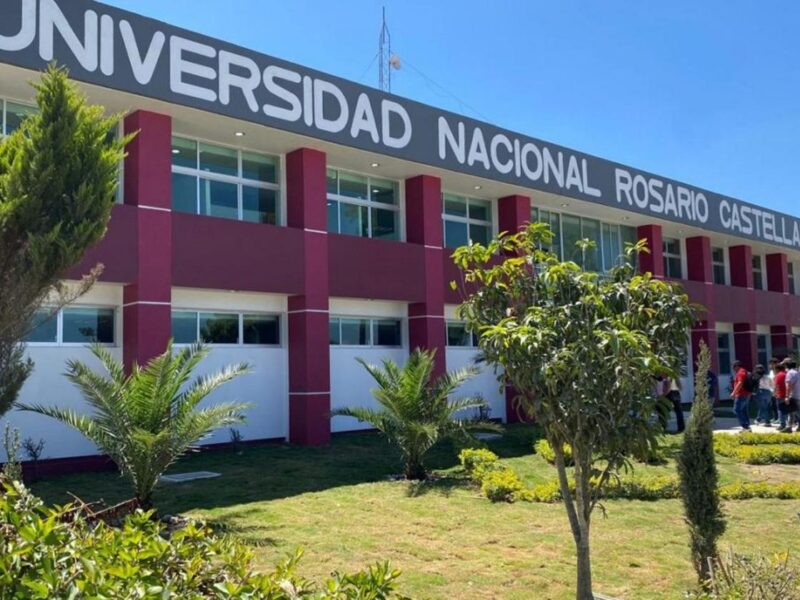 oferta educativa Universidad Rosario Castellanos Michoacán